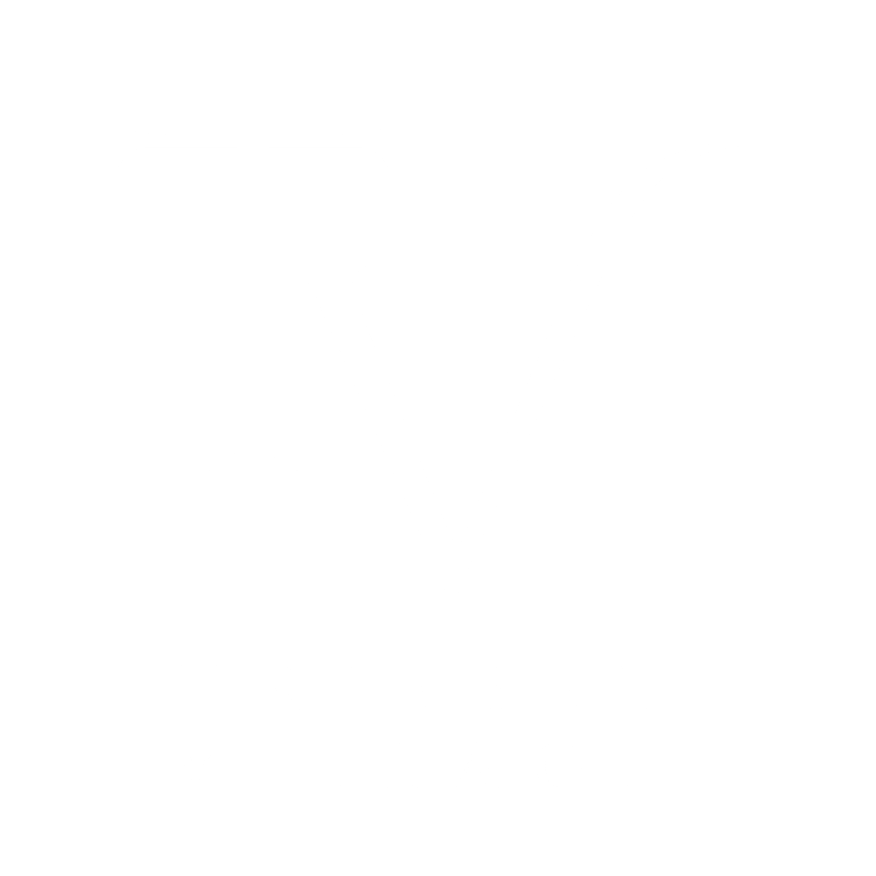 A logo with the letters "TV" and the words "Triebel Village" below it.